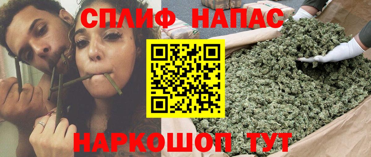 Конопля план Чернушка